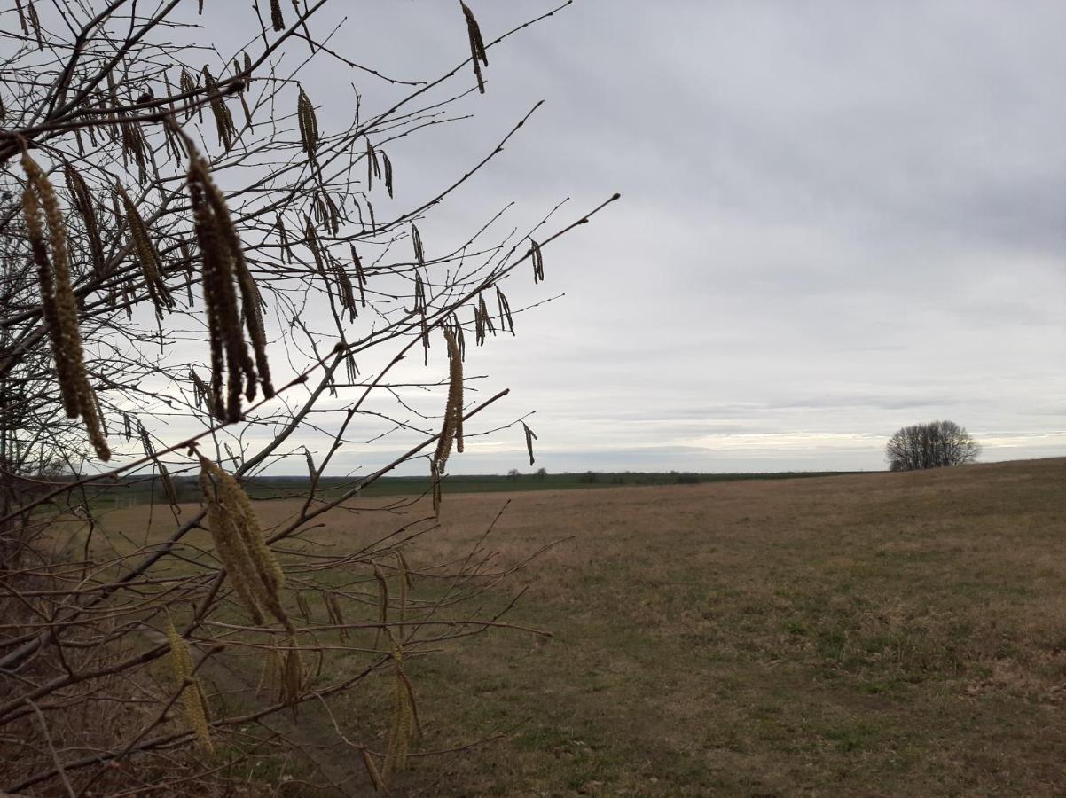 Loftwohnung Beim Winzer - Gruen & Stadtnah - Hund Willkommen Langebruck Esterno foto