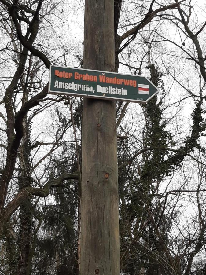 Loftwohnung Beim Winzer - Gruen & Stadtnah - Hund Willkommen Langebruck Esterno foto