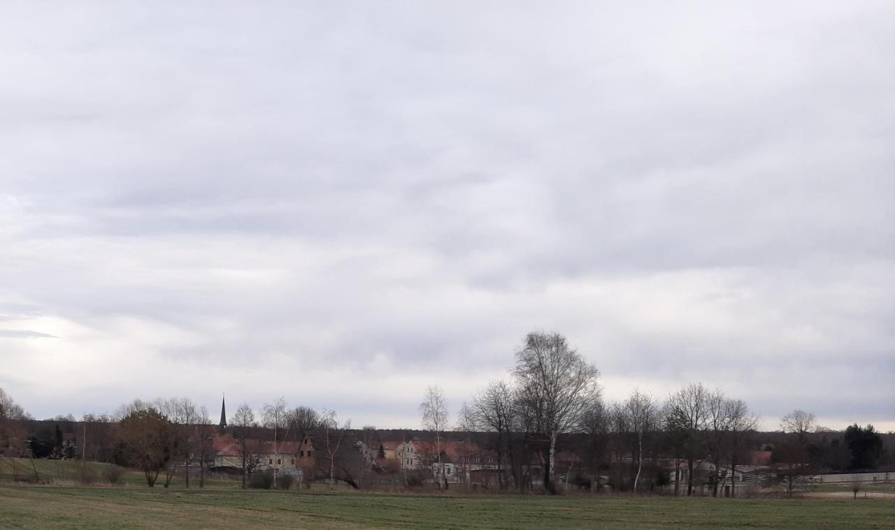 Loftwohnung Beim Winzer - Gruen & Stadtnah - Hund Willkommen Langebruck Esterno foto